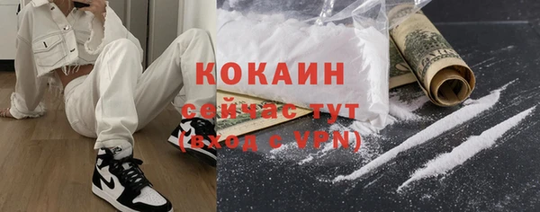 стафф Гусь-Хрустальный